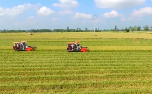 Lập vi bằng mua bán đất nông nghiệp